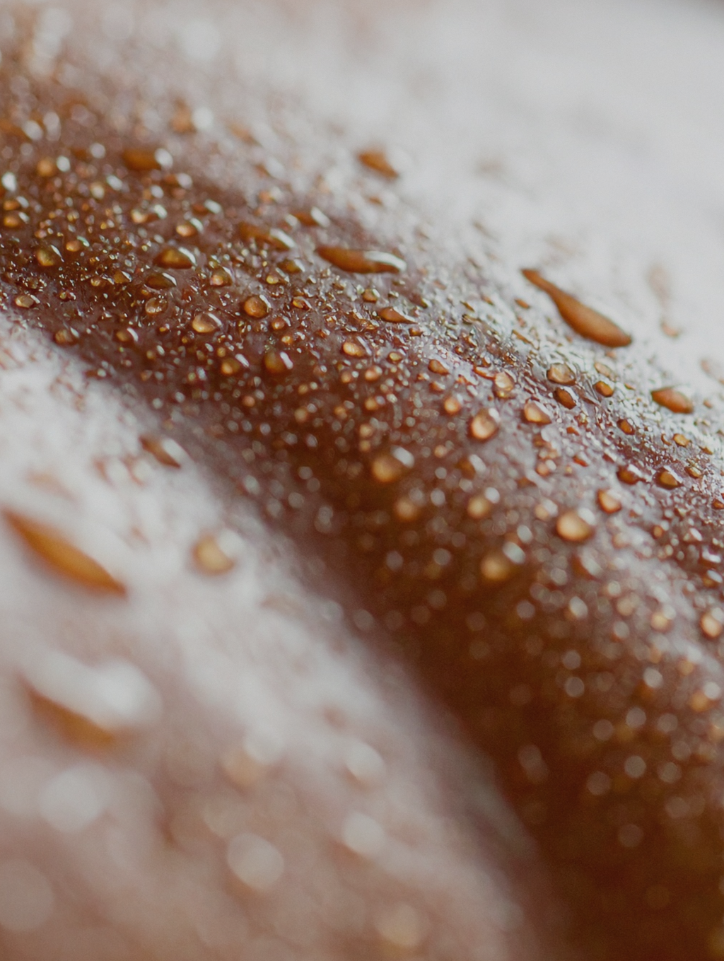 Bioactive Prebiotics Jelly Serum